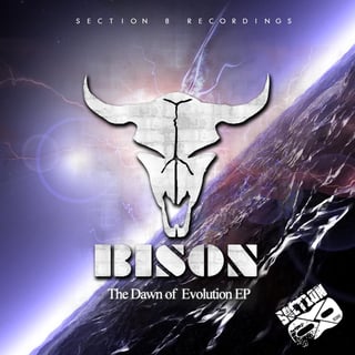 The Dawn of Evolution cover