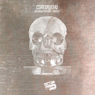 The Forgotten Hope cover