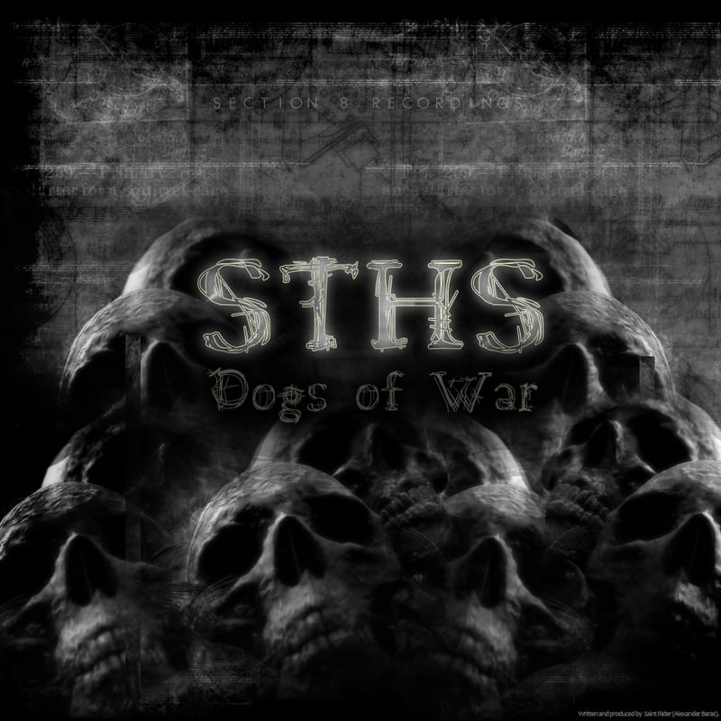 Dogs of War by STHS: cover art