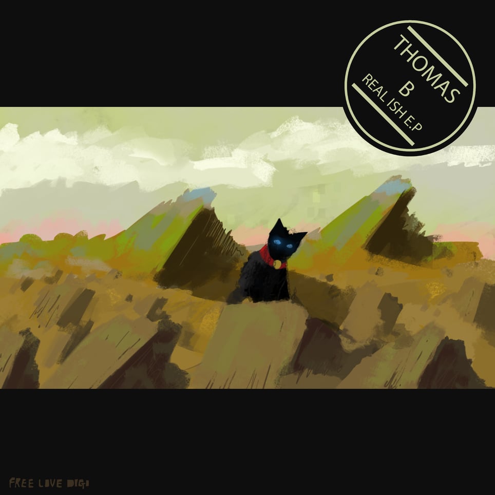 Real Ish E.P cover