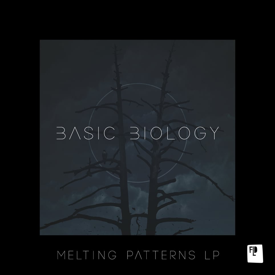 Melting Patterns LP cover