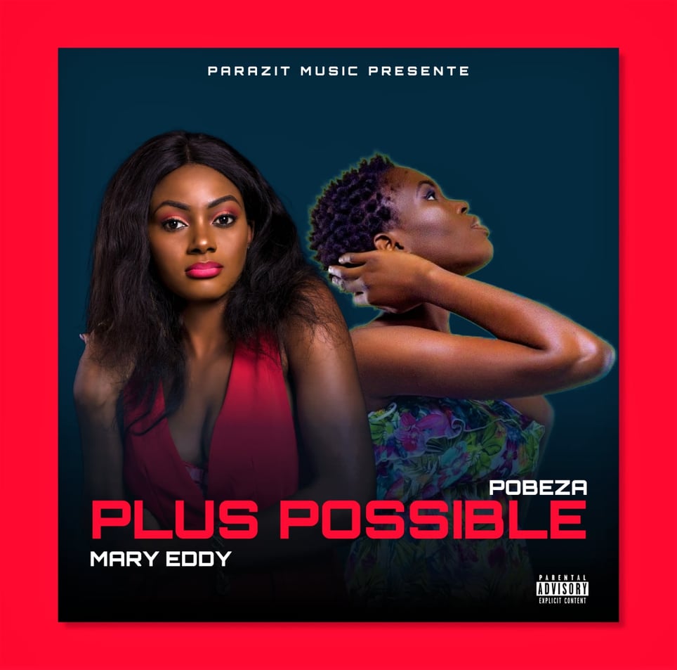 Plus Possible cover