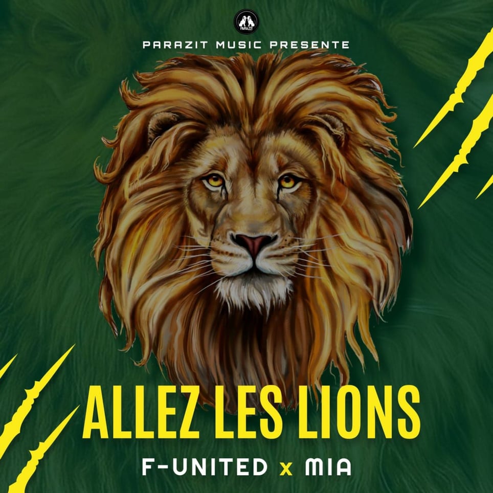 ALLEZ LES LIONS cover